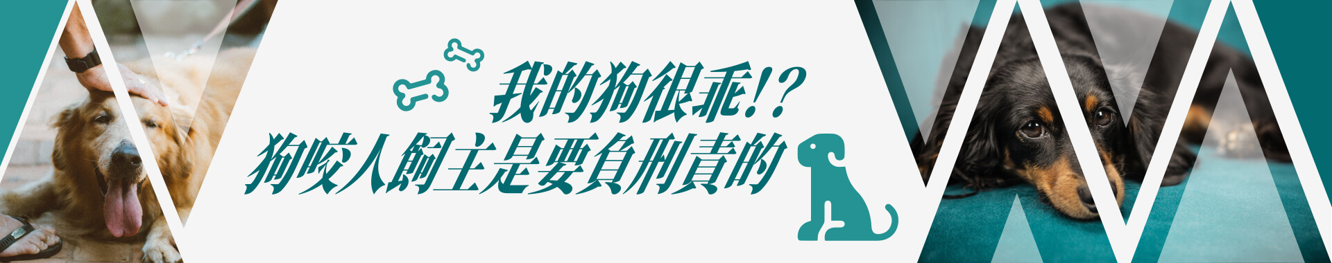 牠很乖我知道，但當牠不乖…你就必須承擔後果！